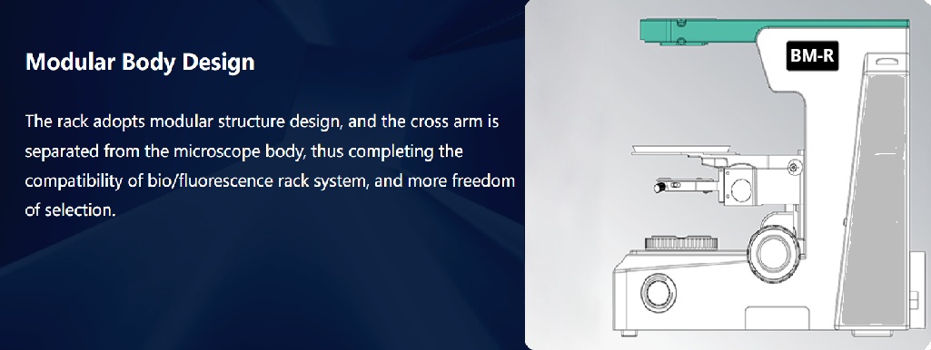 BM-R modular biological and fluorescence microscope body design